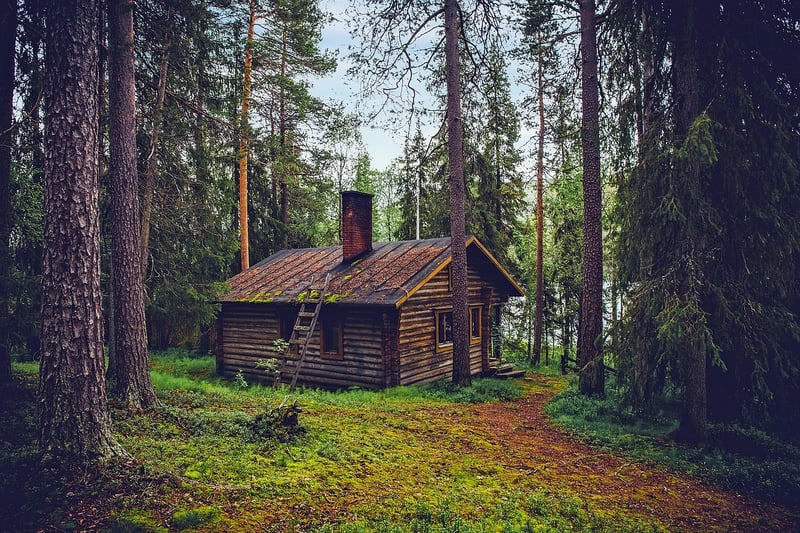 Secluded Cabins