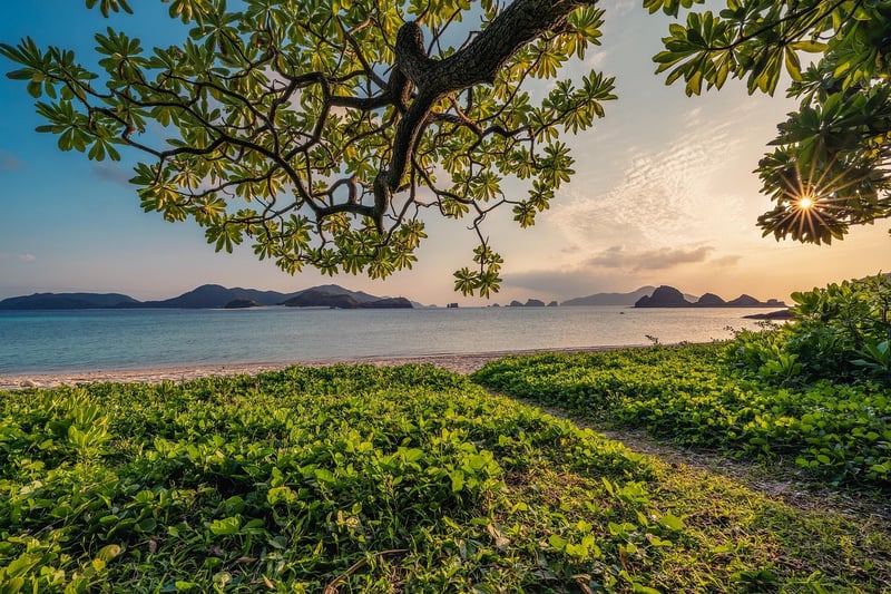 Serene Nature Setting