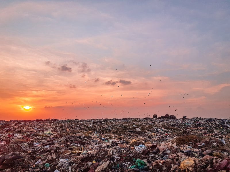 Marine Debris Cleanup